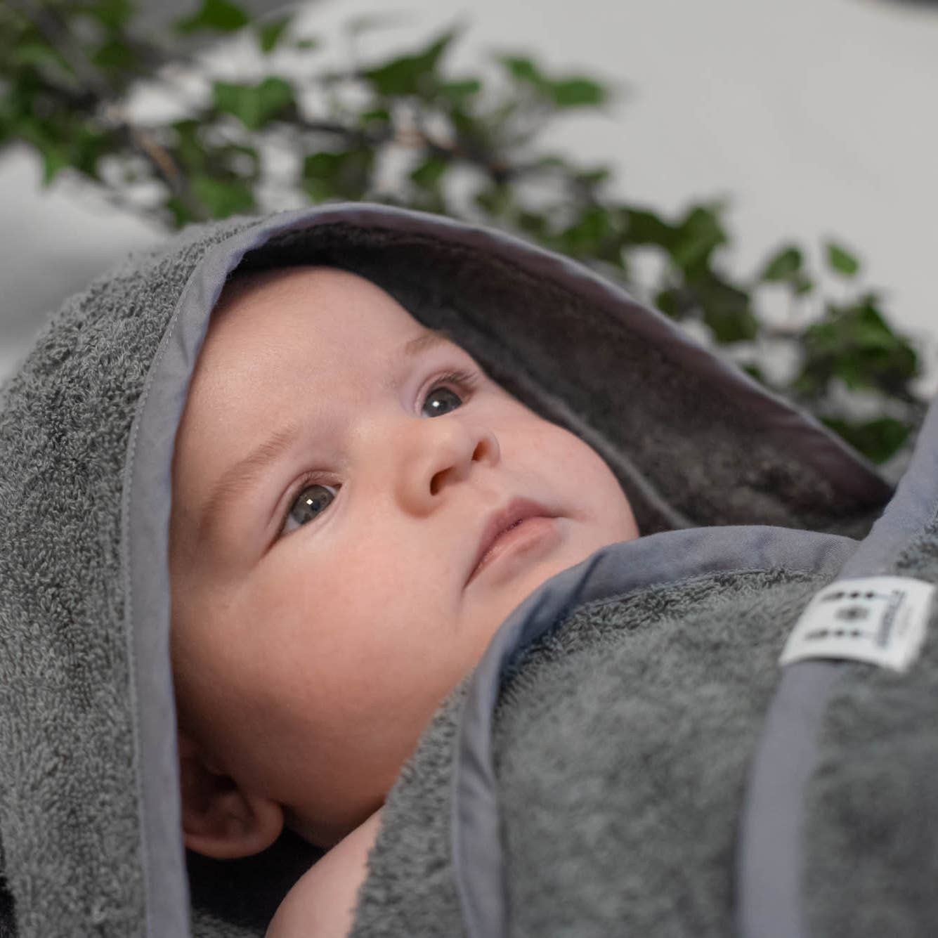 Økologisk babyhåndklæde med hætte Kanin Grå