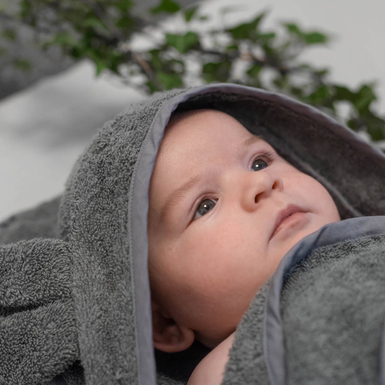 Økologisk babyhåndklæde med hætte Kanin Grå